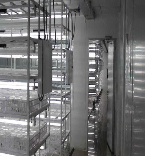 Biotech